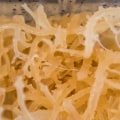 The Benefits of Potassium in Sea Moss