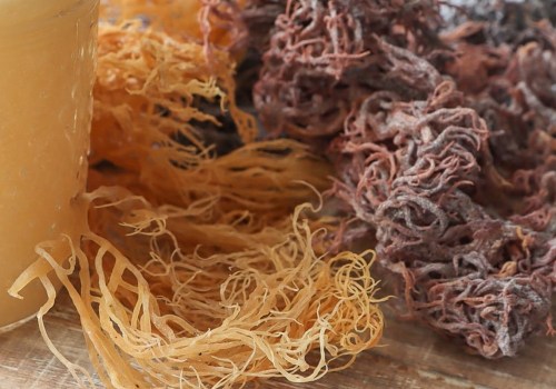 Exploring the Benefits of Anthocyanins in Sea Moss